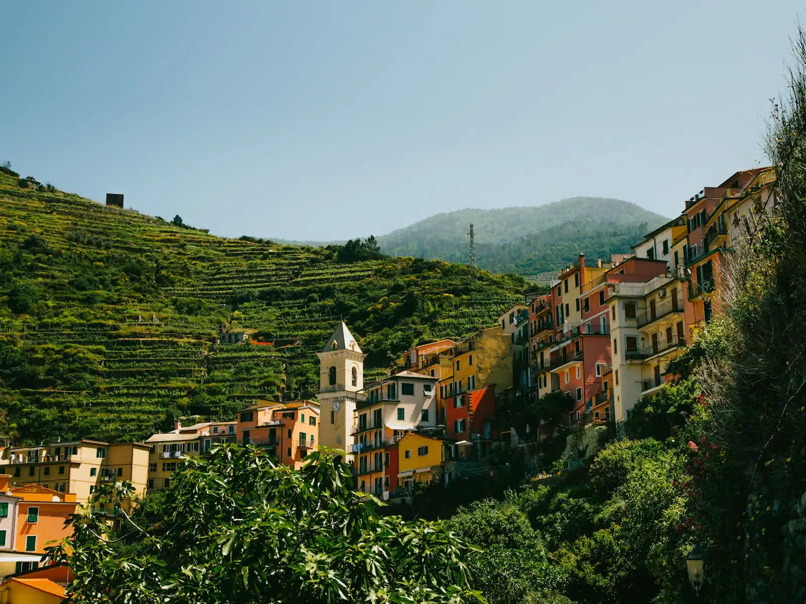Pastel houses and terraced vineyards above the sea in Cinque Terre, Italy
